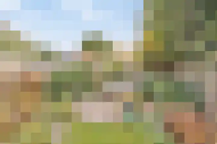 Kroonkruid 83 Venray thumbnail 37