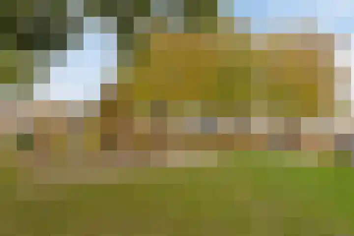 Kroonkruid 83 Venray thumbnail 39