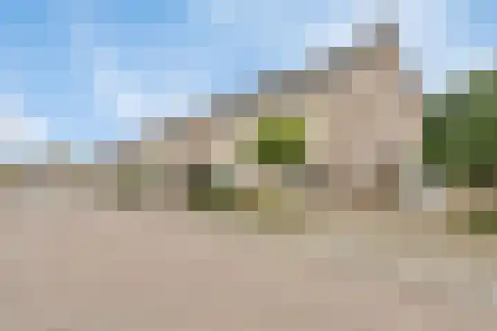 Kroonkruid 83 Venray thumbnail 40
