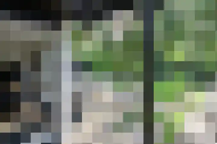 Kroonlaan 22 Hilversum thumbnail 13