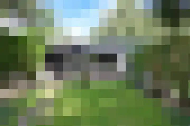 Kroonlaan 22 Hilversum thumbnail 15