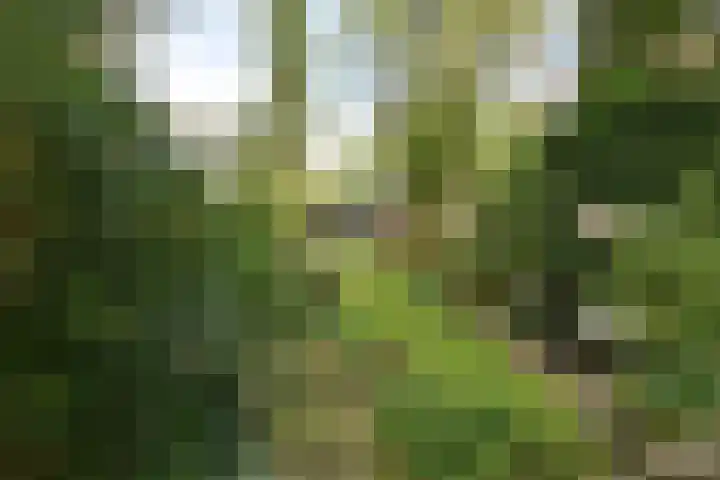 Kroonlaan 22 Hilversum thumbnail 16