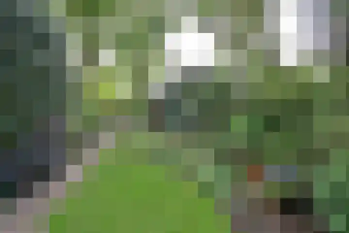 Kroonlaan 22 Hilversum thumbnail 17