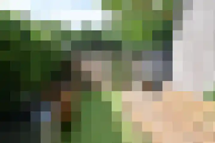 Kroonlaan 22 Hilversum thumbnail 19