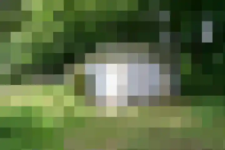 Kroonlaan 22 Hilversum thumbnail 20