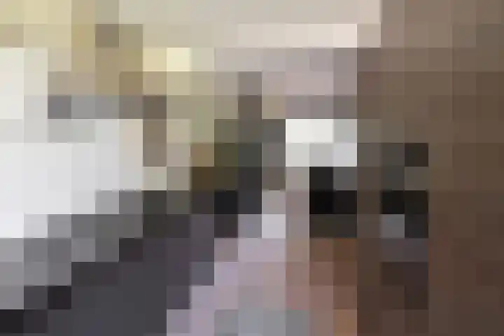 Kroonlaan 22 Hilversum thumbnail 7