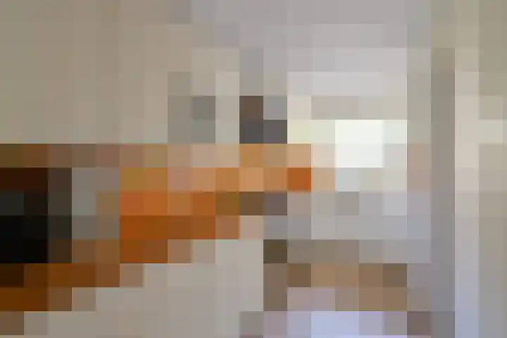 Kroonlaan 24 Hilversum thumbnail 10