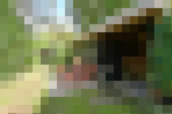 Kroonlaan 24 Hilversum thumbnail 16