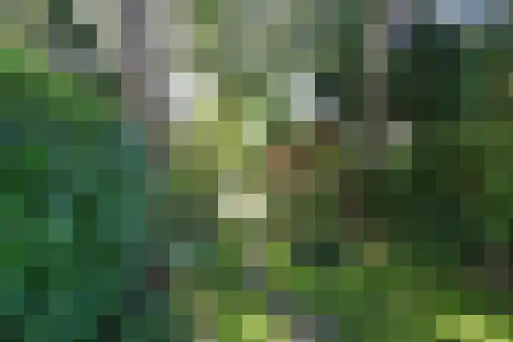 Kroonlaan 24 Hilversum thumbnail 18