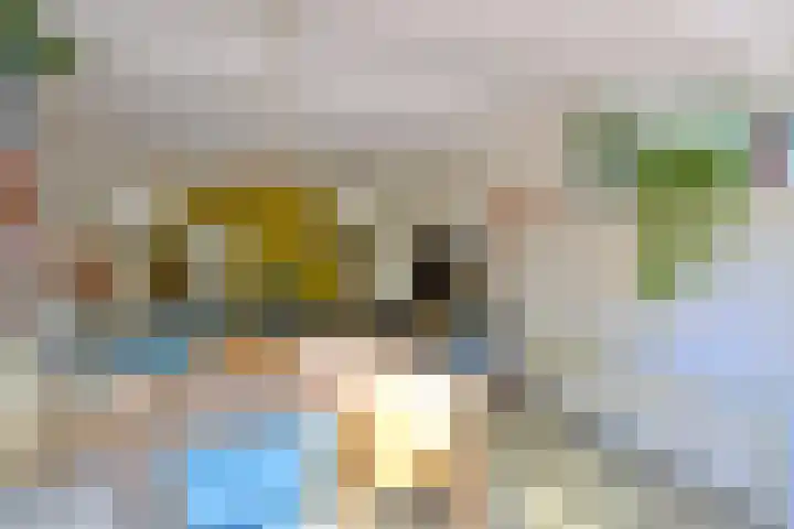 Kroonlaan 24 Hilversum thumbnail 6