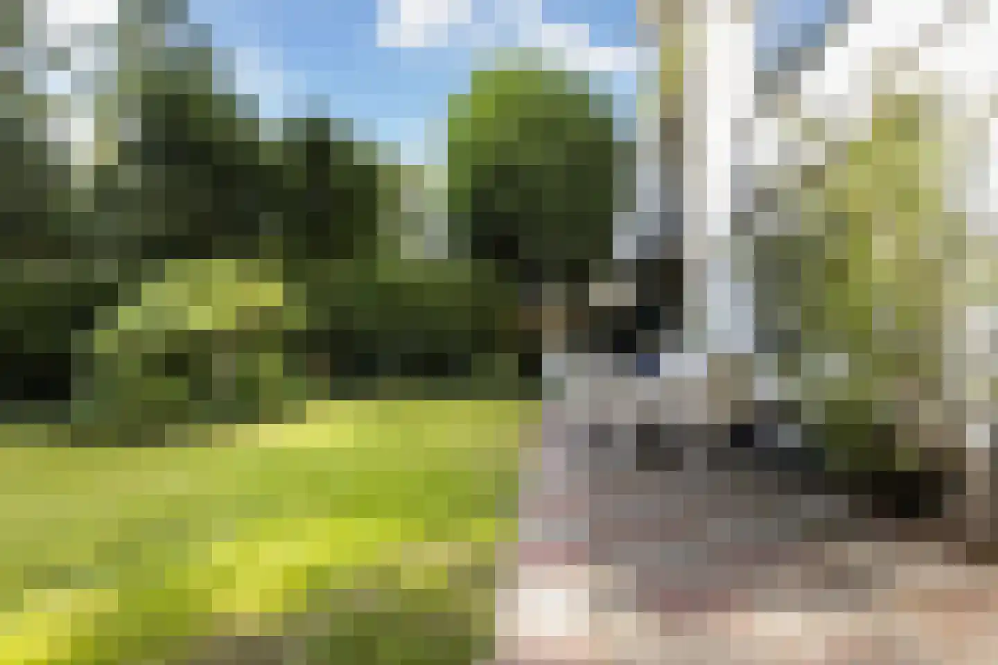 Kroonlaan 28 Hilversum thumbnail 19