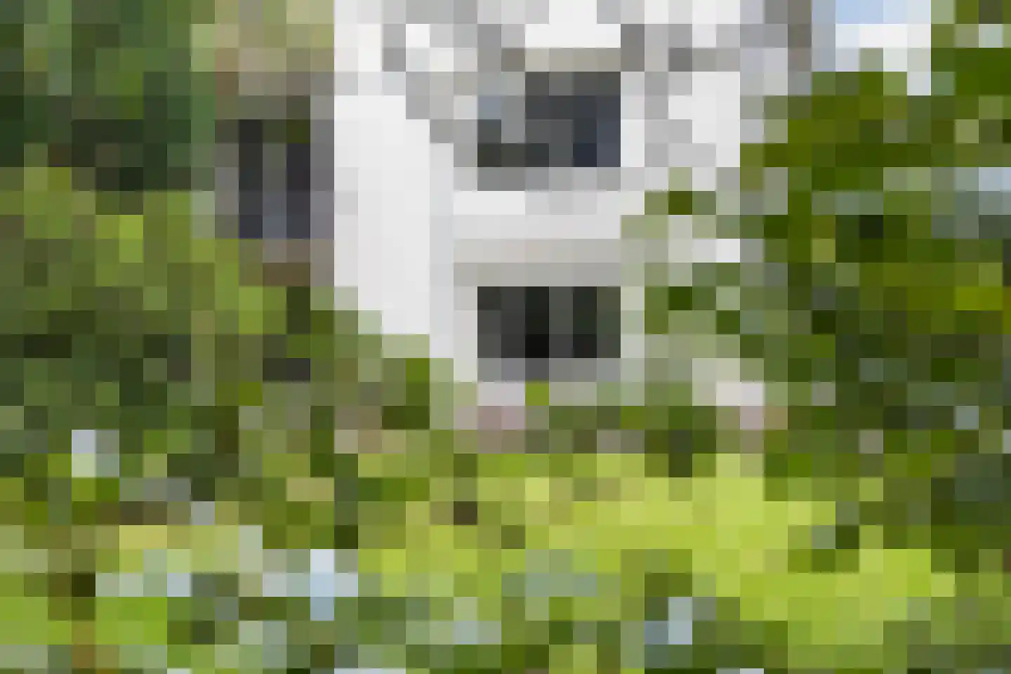 Kroonlaan 28 Hilversum thumbnail 22