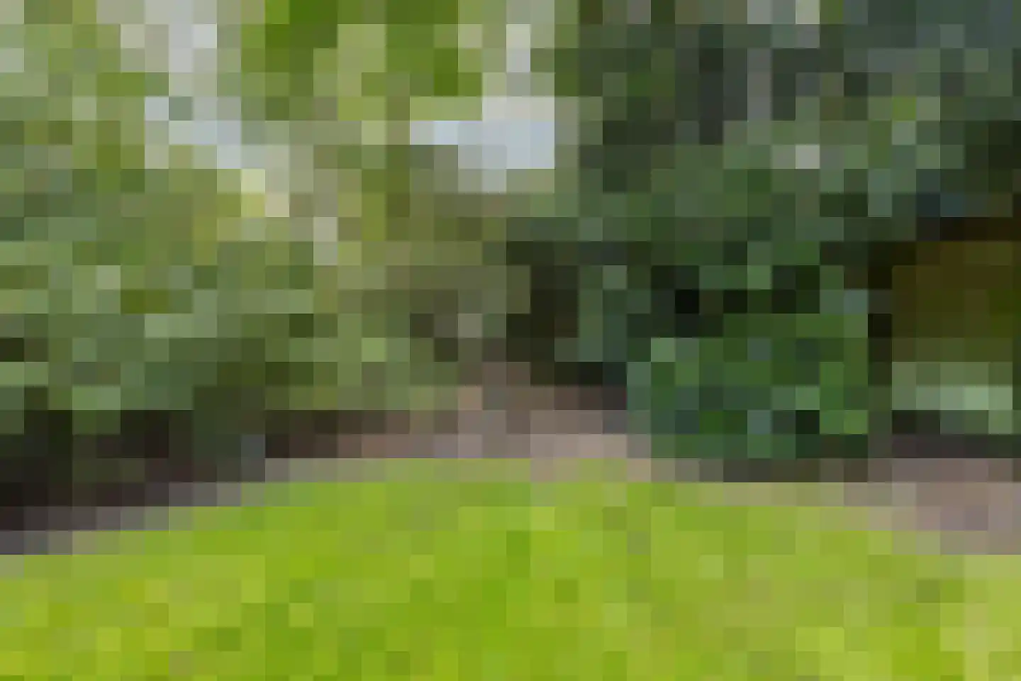 Kroonlaan 28 Hilversum thumbnail 23