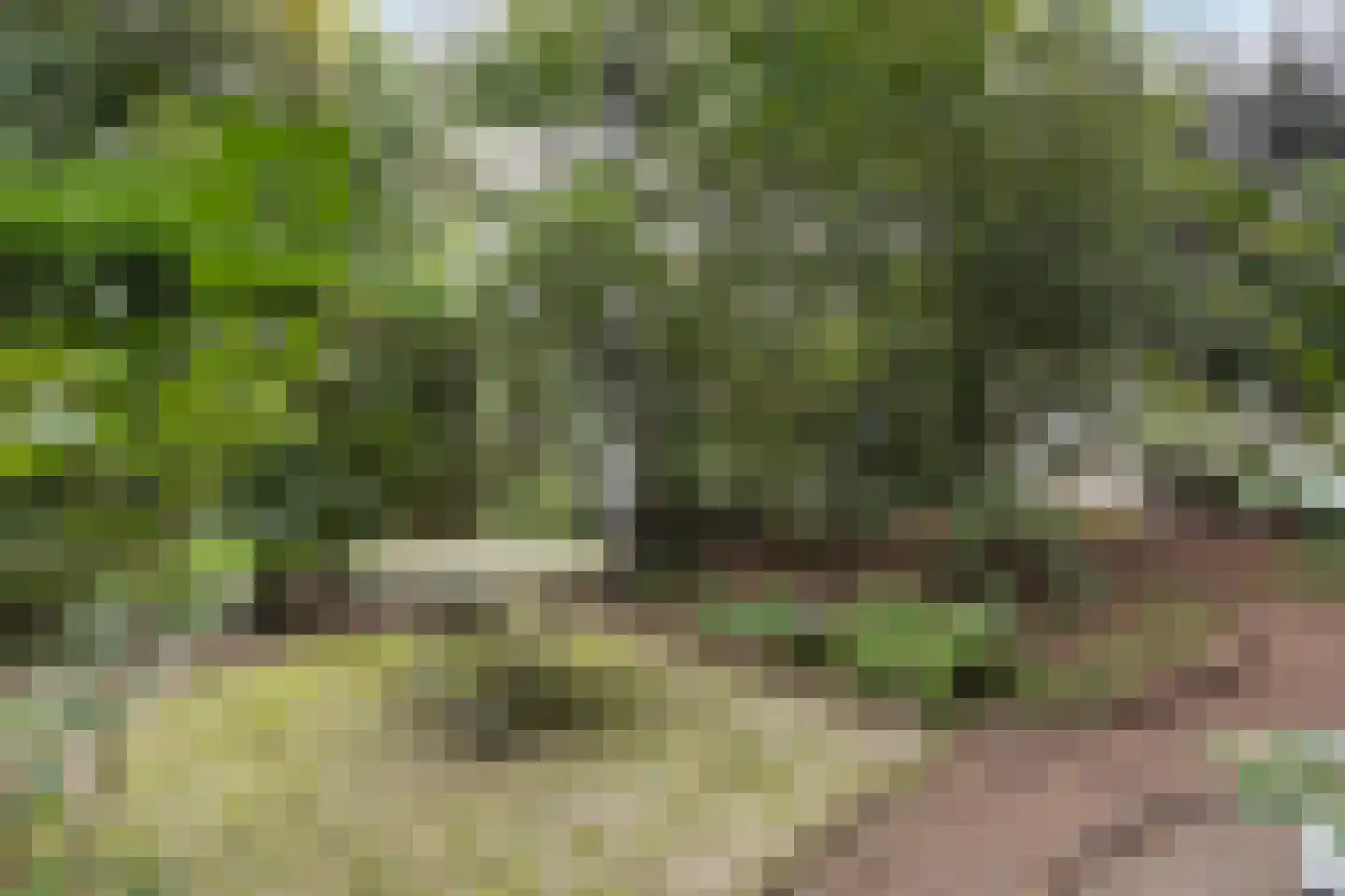 Kroonlaan 28 Hilversum thumbnail 26