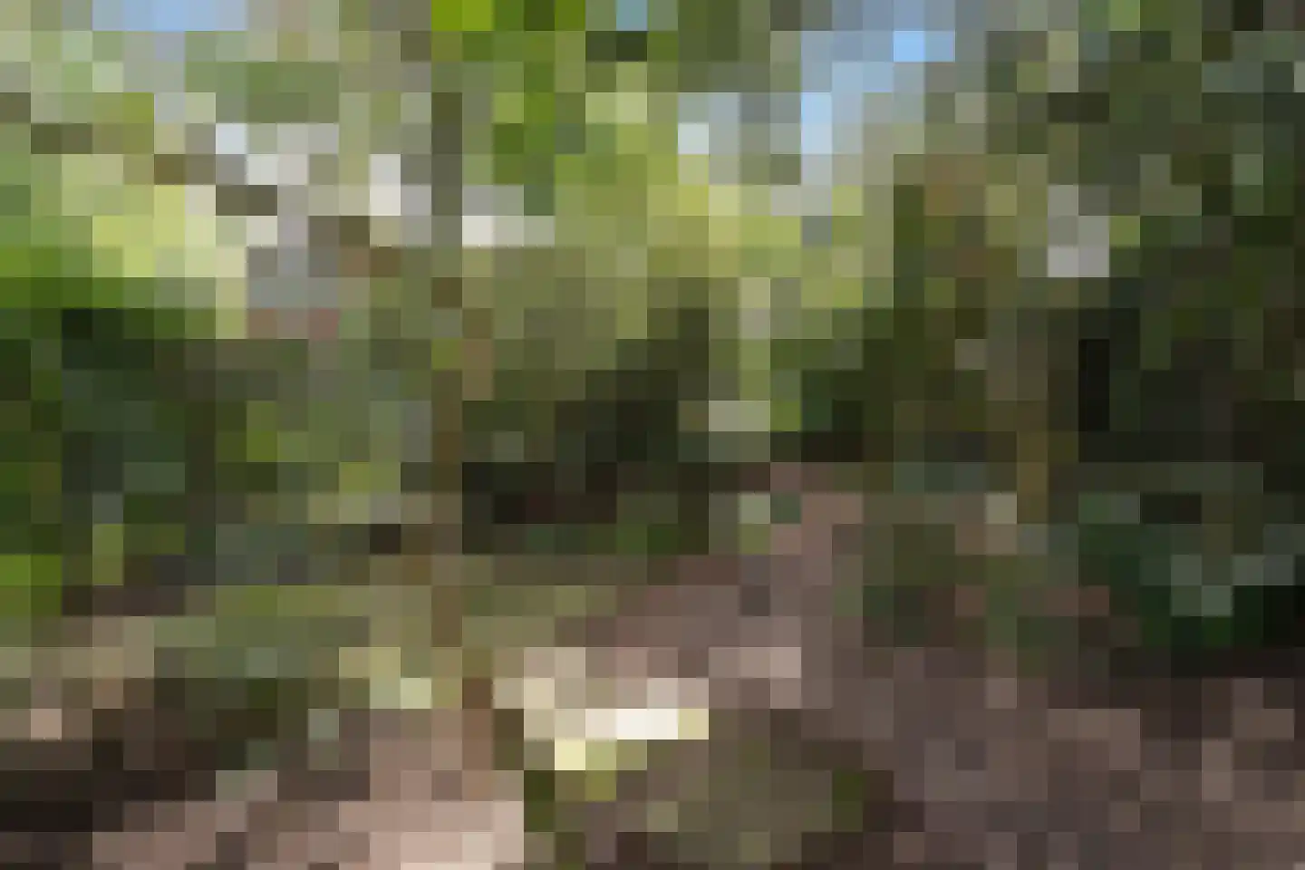 Kroonlaan 28 Hilversum thumbnail 27