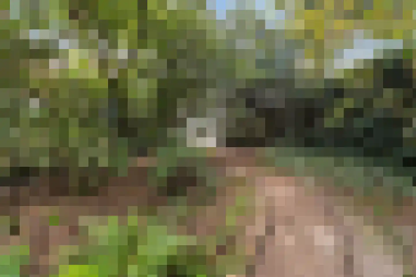 Kroonlaan 28 Hilversum thumbnail 29