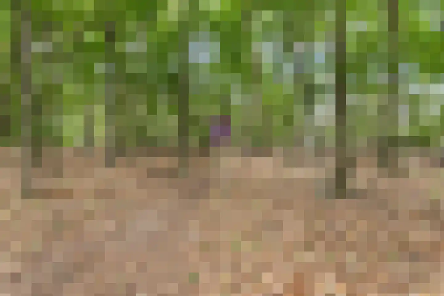 Kroonlaan 28 Hilversum thumbnail 32