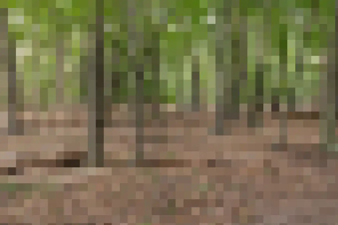Kroonlaan 28 Hilversum thumbnail 33