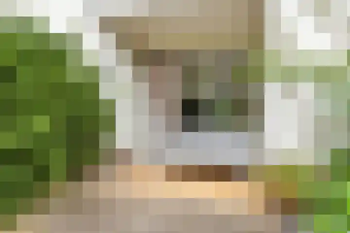 Kroonlaan 52 Hilversum thumbnail 13