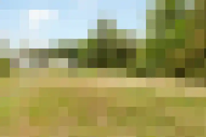 Kroonlaan 52 Hilversum thumbnail 15