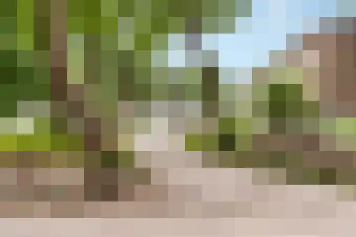 Kroonlaan 52 Hilversum thumbnail 16