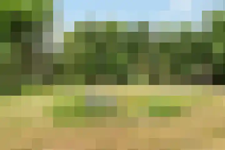 Kroonlaan 52 Hilversum thumbnail 17