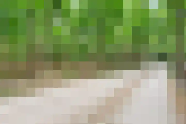Kroonlaan 52 Hilversum thumbnail 18