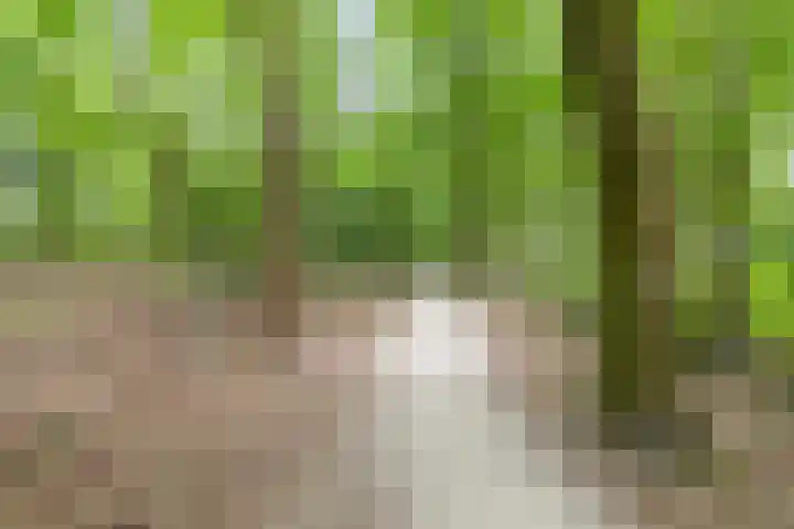 Kroonlaan 52 Hilversum thumbnail 19