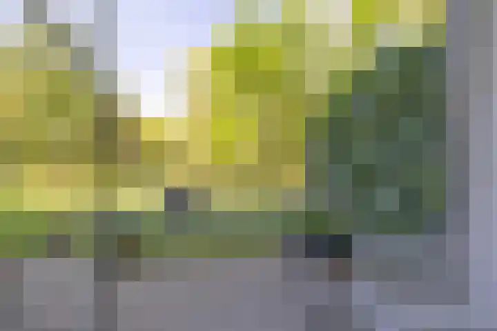 Kroonlaan 58 Hilversum thumbnail 18