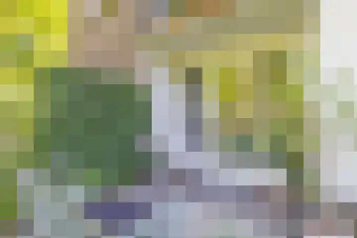 Kroonlaan 58 Hilversum thumbnail 19