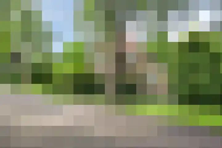 Kroonlaan 9 Nunspeet