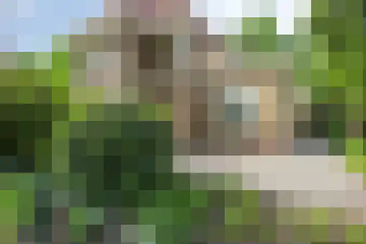 Kroonlaan 9 Nunspeet thumbnail 10