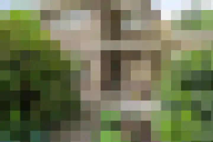 Kroonlaan 9 Nunspeet thumbnail 11