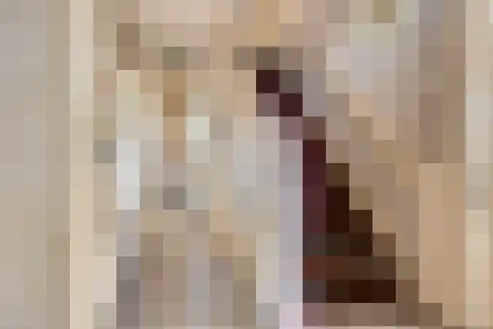 Kroonlaan 9 Nunspeet thumbnail 12