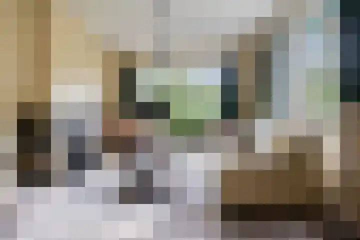 Kroonlaan 9 Nunspeet thumbnail 15