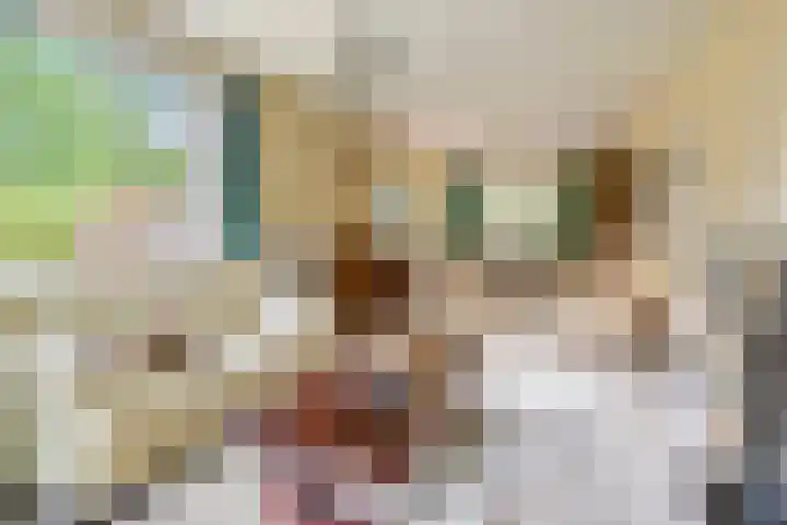 Kroonlaan 9 Nunspeet thumbnail 16