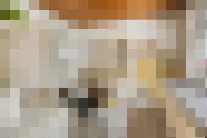 Kroonlaan 9 Nunspeet thumbnail 23