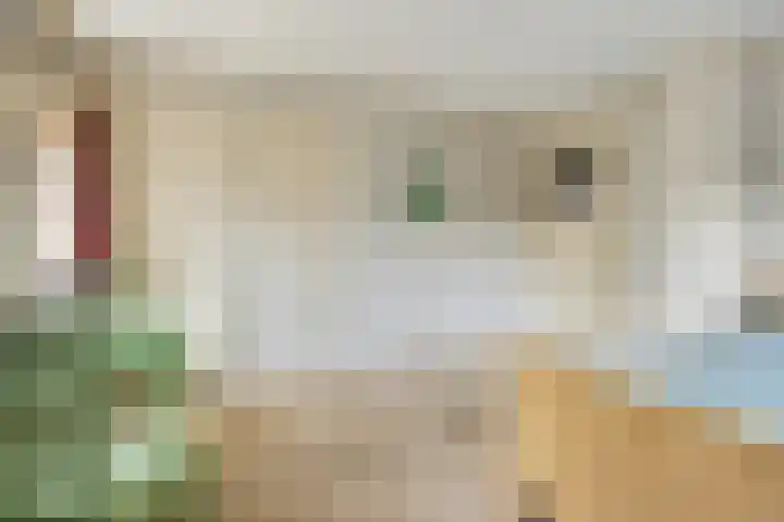 Kroonlaan 9 Nunspeet thumbnail 33