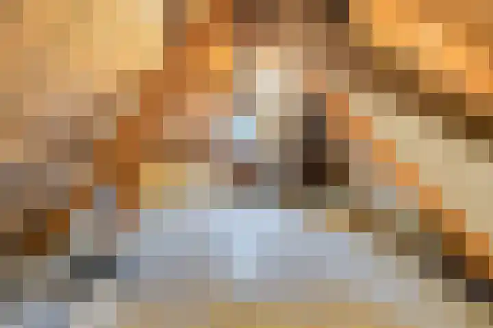 Kroonlaan 9 Nunspeet thumbnail 39