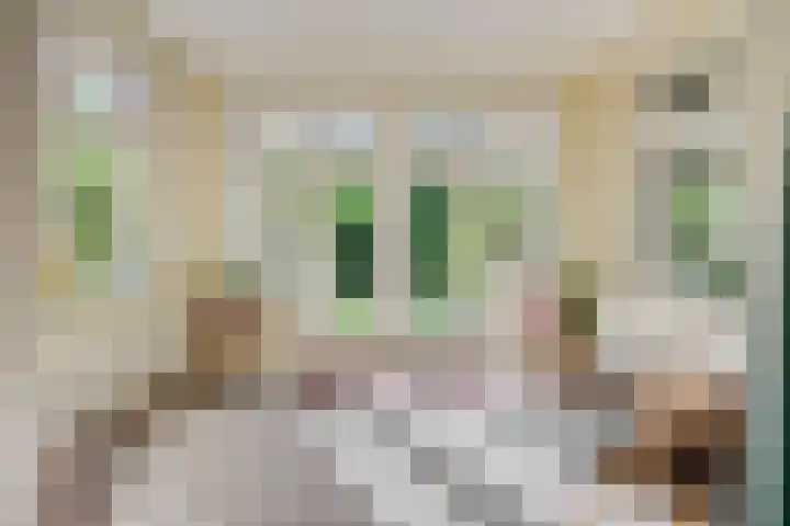 Kroonlaan 9 Nunspeet thumbnail 4
