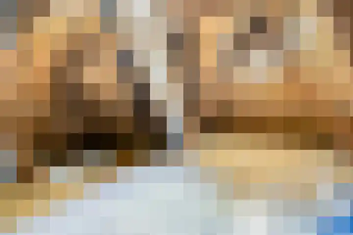 Kroonlaan 9 Nunspeet thumbnail 40