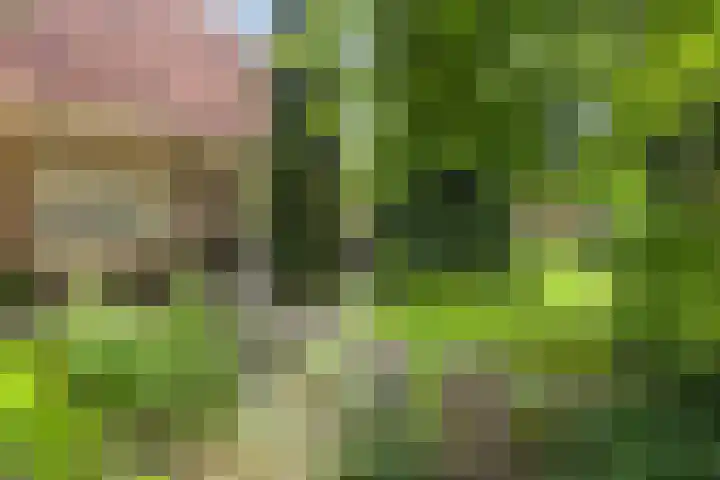 Kroonlaan 9 Nunspeet thumbnail 41
