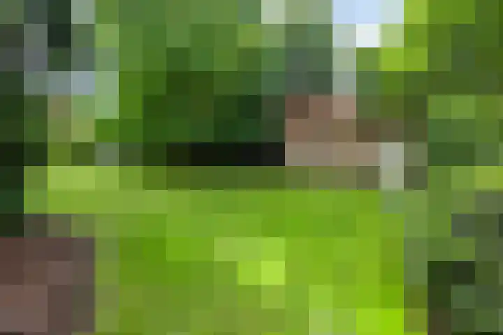 Kroonlaan 9 Nunspeet thumbnail 42