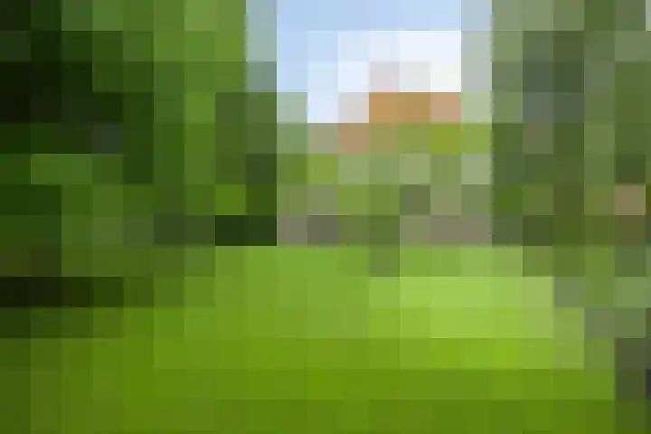 Kroonlaan 9 Nunspeet thumbnail 44