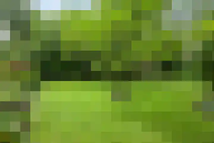 Kroonlaan 9 Nunspeet thumbnail 45