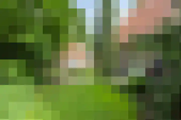 Kroonlaan 9 Nunspeet thumbnail 47