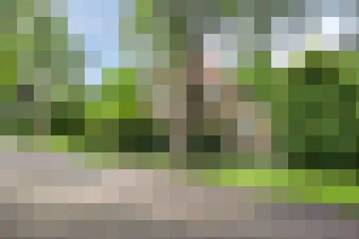 Kroonlaan 9 Nunspeet thumbnail 48
