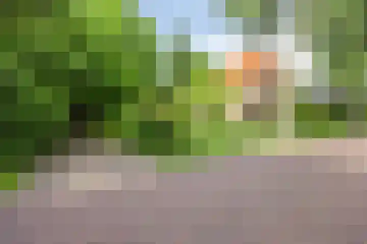 Kroonlaan 9 Nunspeet thumbnail 6