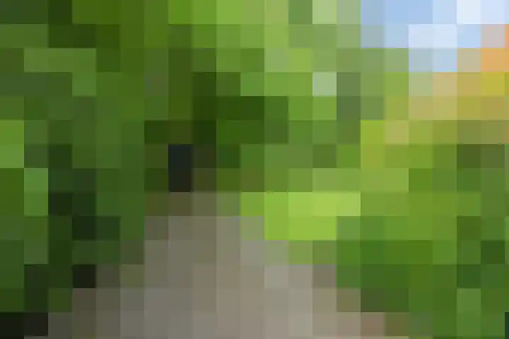 Kroonlaan 9 Nunspeet thumbnail 7