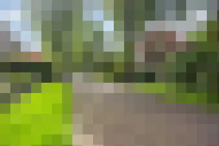 Kroonlaan 9 Nunspeet thumbnail 9